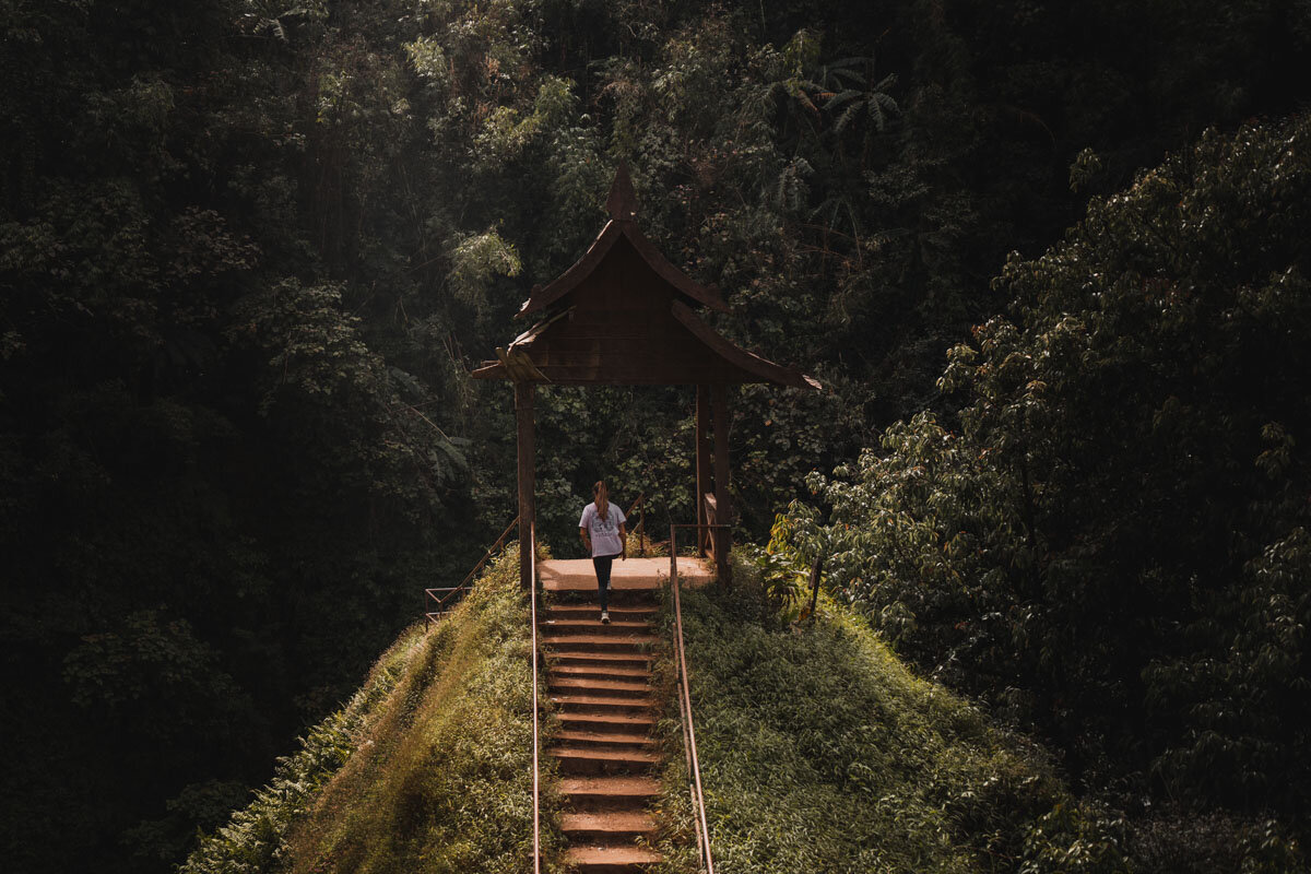 Bolaven Plateau, Laos